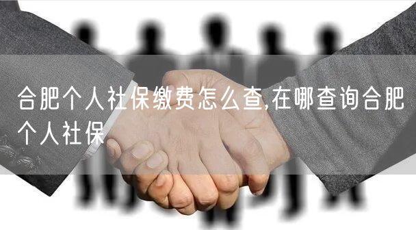 合肥个人社保缴费怎么查,在哪查询合肥个人社保