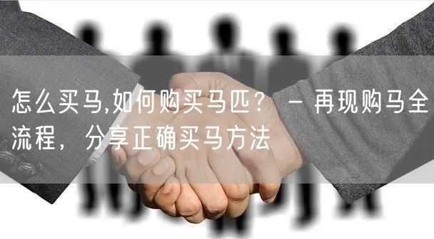 怎么买马,如何购买马匹？ - 再现购马全流程，分享正确买马方法