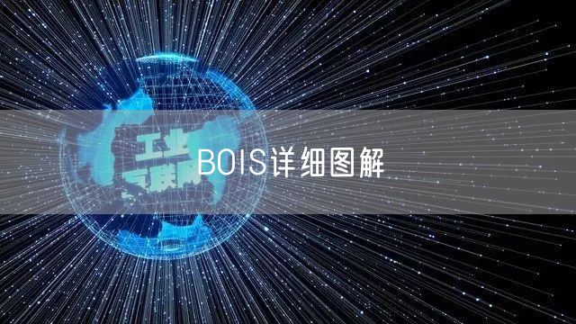 BOIS详细图解