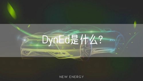 DynEd是什么?