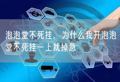 泡泡堂不死挂,为什么我开泡泡堂不死挂一上就掉急