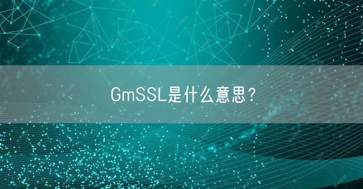 GmSSL是什么意思？