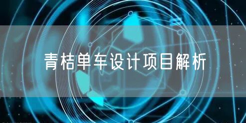 青桔单车设计项目解析