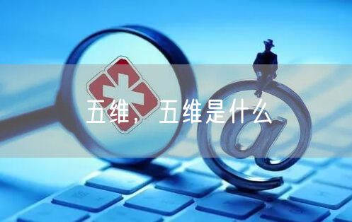 五维,五维是什么