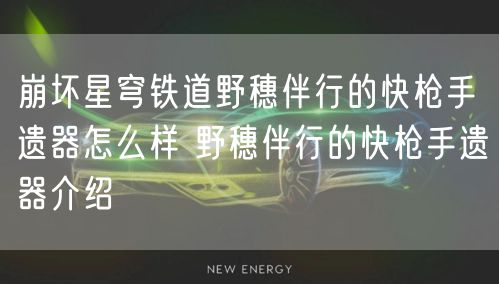 崩坏星穹铁道野穗伴行的快枪手遗器怎么样 野穗伴行的快枪手遗器介绍