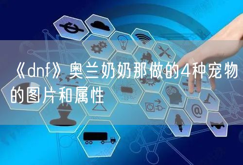 《dnf》奥兰奶奶那做的4种宠物的图片和属性