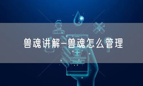 兽魂讲解-兽魂怎么管理