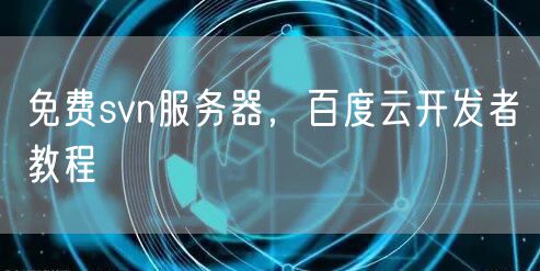 免费svn服务器,百度云开发者教程