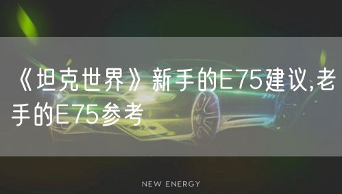 《坦克世界》新手的E75建议,老手的E75参考
