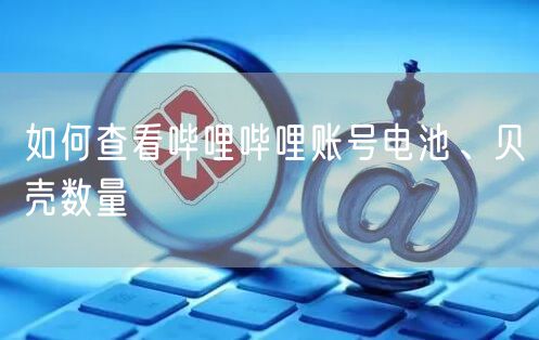 如何查看哔哩哔哩账号电池、贝壳数量