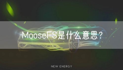 MooseFS是什么意思?