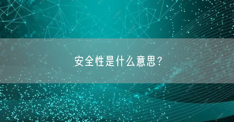 安全性是什么意思？