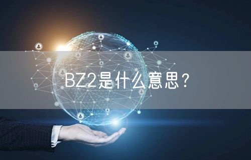 BZ2是什么意思？