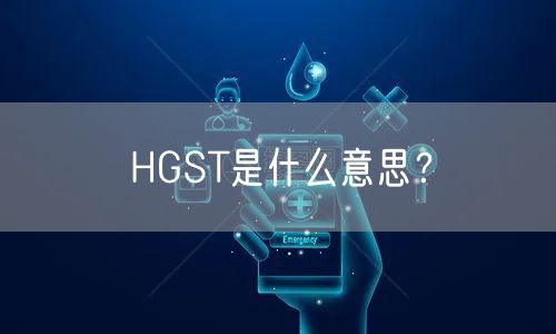 HGST是什么意思？