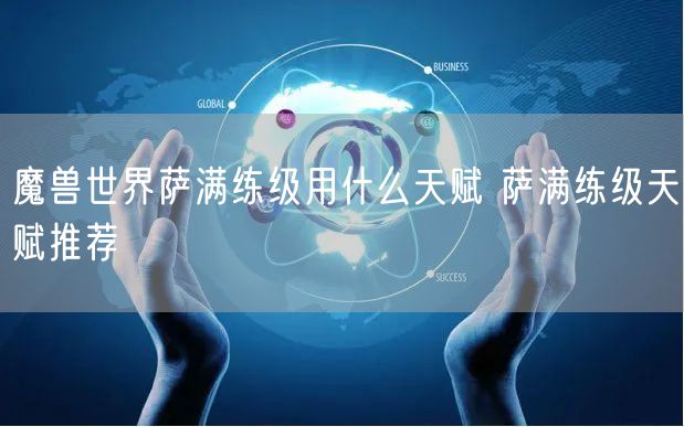 魔兽世界萨满练级用什么天赋 萨满练级天赋推荐