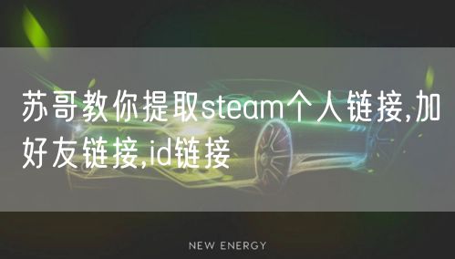 苏哥教你提取steam个人链接,加好友链接,id链接