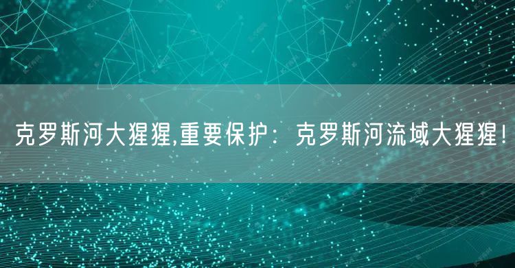 克罗斯河大猩猩,重要保护：克罗斯河流域大猩猩！