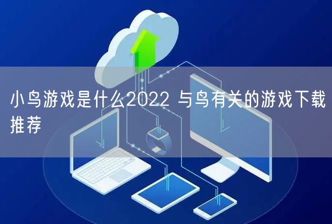 小鸟游戏是什么2022 与鸟有关的游戏下载推荐
