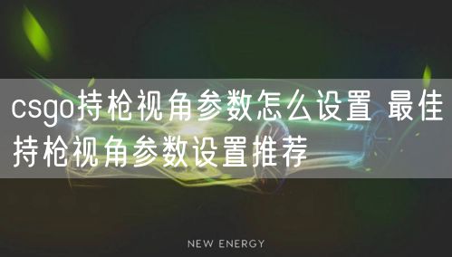 csgo持枪视角参数怎么设置 最佳持枪视角参数设置推荐