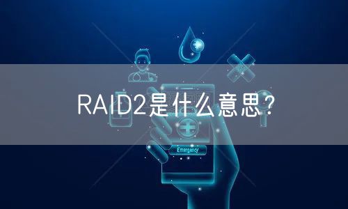RAID2是什么意思？