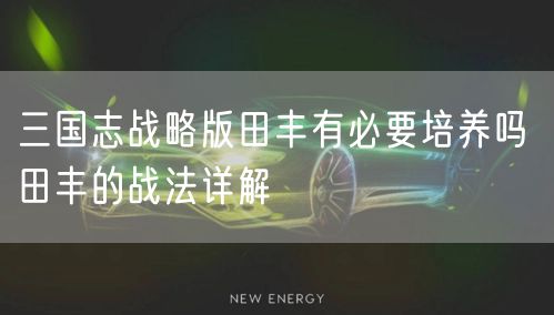 三国志战略版田丰有必要培养吗 田丰的战法详解