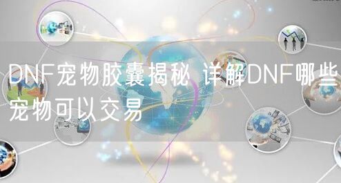 DNF宠物胶囊揭秘 详解DNF哪些宠物可以交易