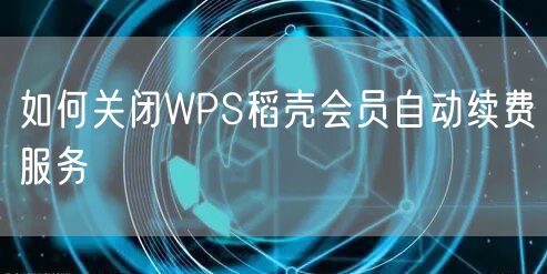 如何关闭WPS稻壳会员自动续费服务
