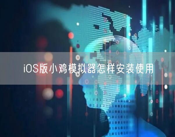 iOS版小鸡模拟器怎样安装使用