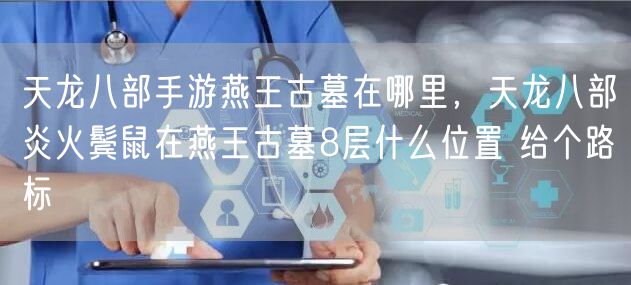 天龙八部手游燕王古墓在哪里,天龙八部炎火鬓鼠在燕王古墓8层什么位置 给个路标