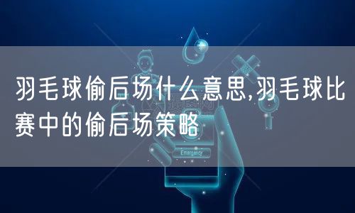 羽毛球偷后场什么意思,羽毛球比赛中的偷后场策略