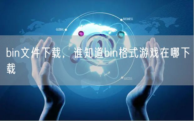 bin文件下载,谁知道bin格式游戏在哪下载