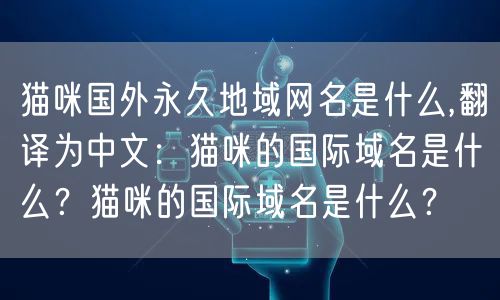 猫咪国外永久地域网名是什么,翻译为中文：猫咪的国际域名是什么？猫咪的国际域名是什么？