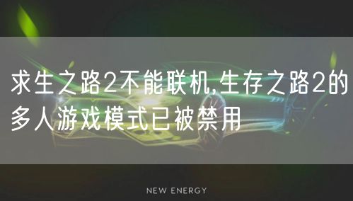 求生之路2不能联机,生存之路2的多人游戏模式已被禁用