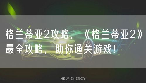 格兰蒂亚2攻略，《格兰蒂亚2》最全攻略，助你通关游戏！
