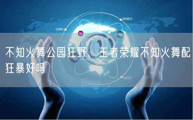 不知火舞公园狂野,王者荣耀不知火舞配狂暴好吗