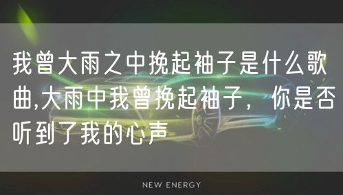 我曾大雨之中挽起袖子是什么歌曲,大雨中我曾挽起袖子，你是否听到了我的心声