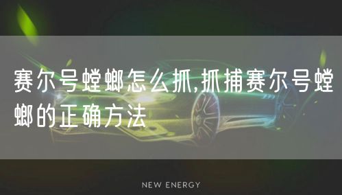 赛尔号螳螂怎么抓,抓捕赛尔号螳螂的正确方法