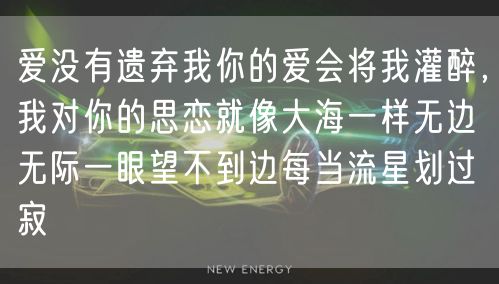 爱没有遗弃我你的爱会将我灌醉，我对你的思恋就像大海一样无边无际一眼望不到边每当流星划过寂