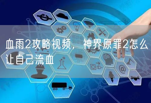 血雨2攻略视频，神界原罪2怎么让自己流血