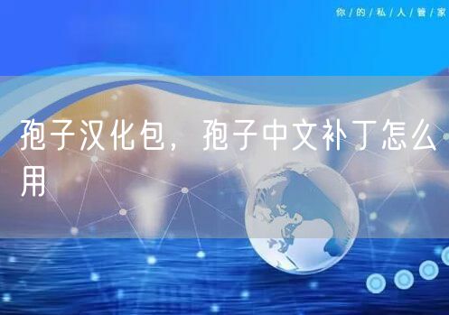 孢子汉化包，孢子中文补丁怎么用