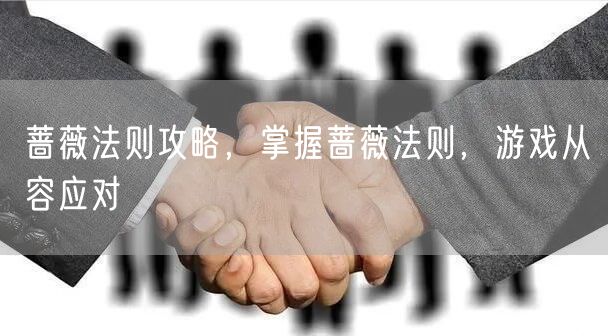 蔷薇法则攻略，掌握蔷薇法则，游戏从容应对