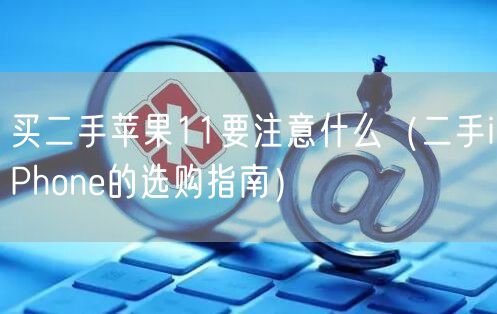 买二手苹果11要注意什么(二手iPhone的选购指南)