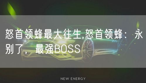 怒首领蜂最大往生,怒首领蜂：永别了，最强BOSS
