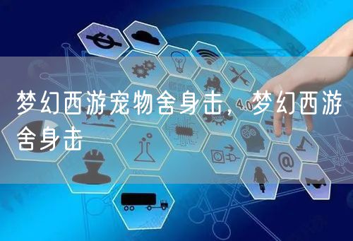 梦幻西游宠物舍身击,梦幻西游舍身击