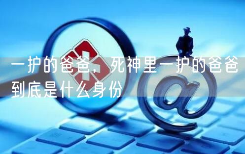 一护的爸爸，死神里一护的爸爸到底是什么身份