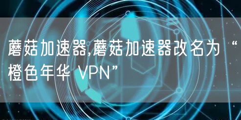蘑菇加速器,蘑菇加速器改名为“橙色年华 VPN”