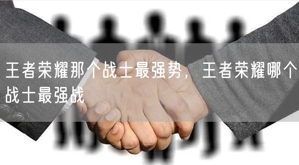 王者荣耀那个战士最强势,王者荣耀哪个战士最强战