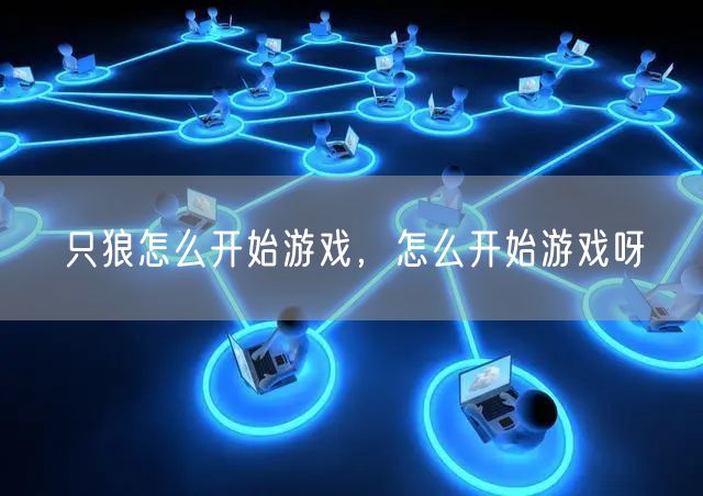 只狼怎么开始游戏,怎么开始游戏呀