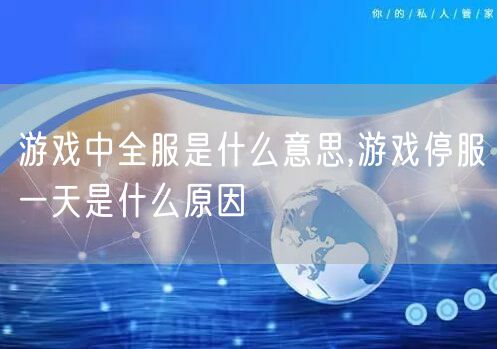 游戏中全服是什么意思,游戏停服一天是什么原因