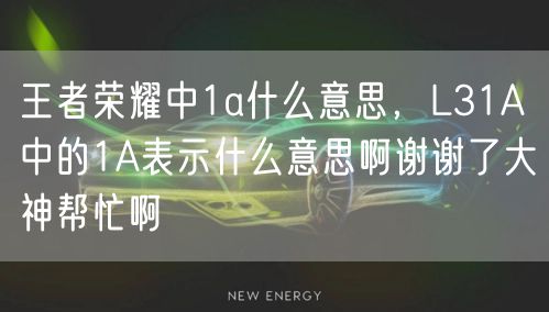 王者荣耀中1a什么意思，L31A中的1A表示什么意思啊谢谢了大神帮忙啊